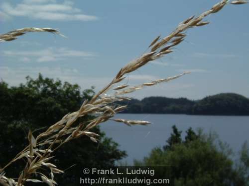 Lough Gill